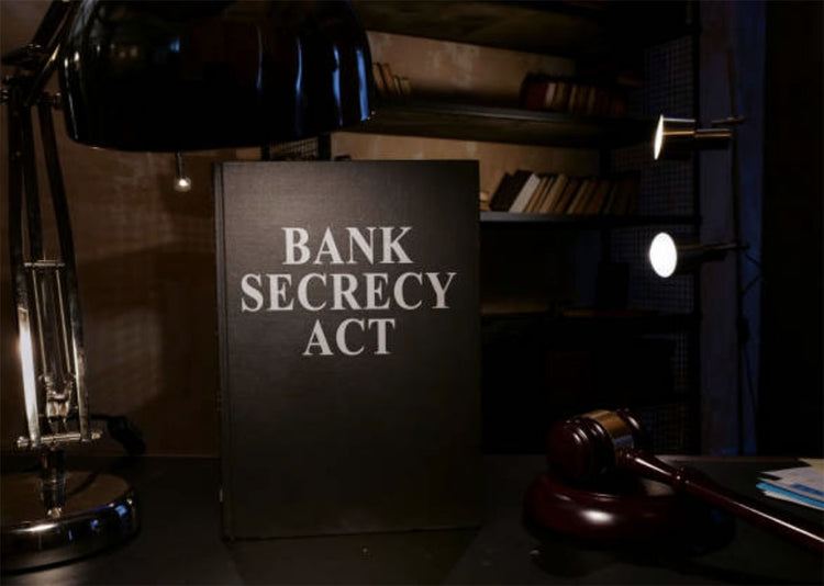 What is Safe Harbor in the Bank Secrecy Act?