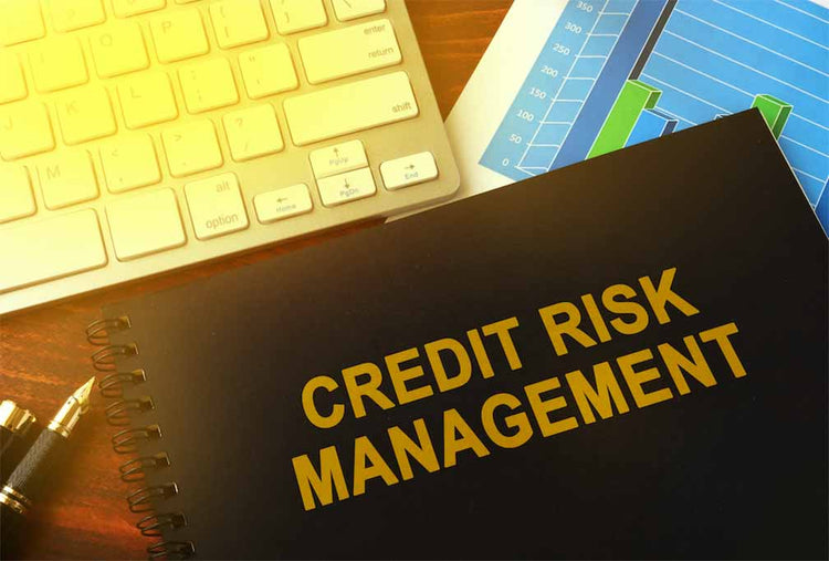 What is Credit Risk Management?